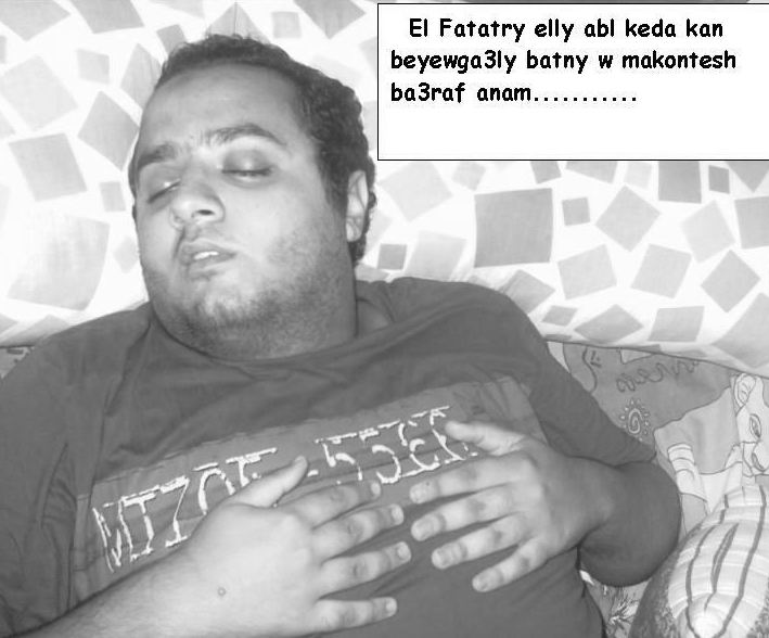 mesh_3aref_anam.JPG